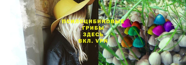 амф Кохма