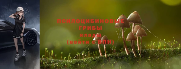 альфа пвп Горно-Алтайск